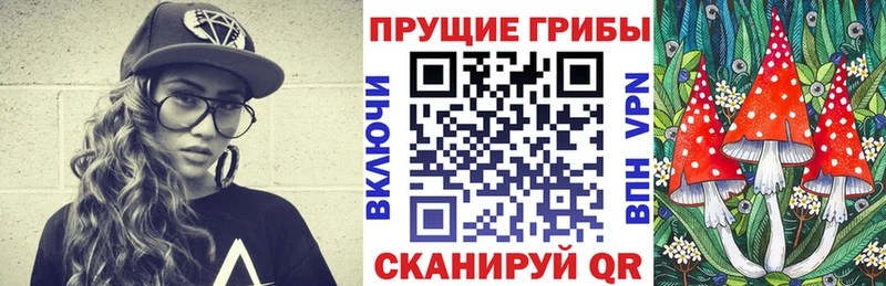 Галлюциногенные грибы Psilocybe  дарк нет официальный сайт  Первомайск 
